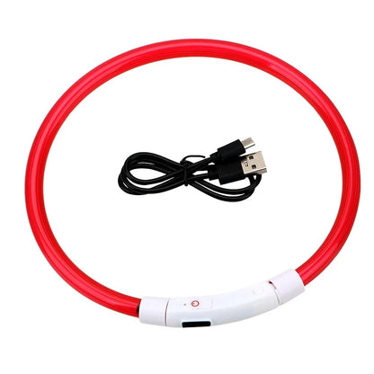 Red LED dog collar coiled beside its charging cable on a white background.