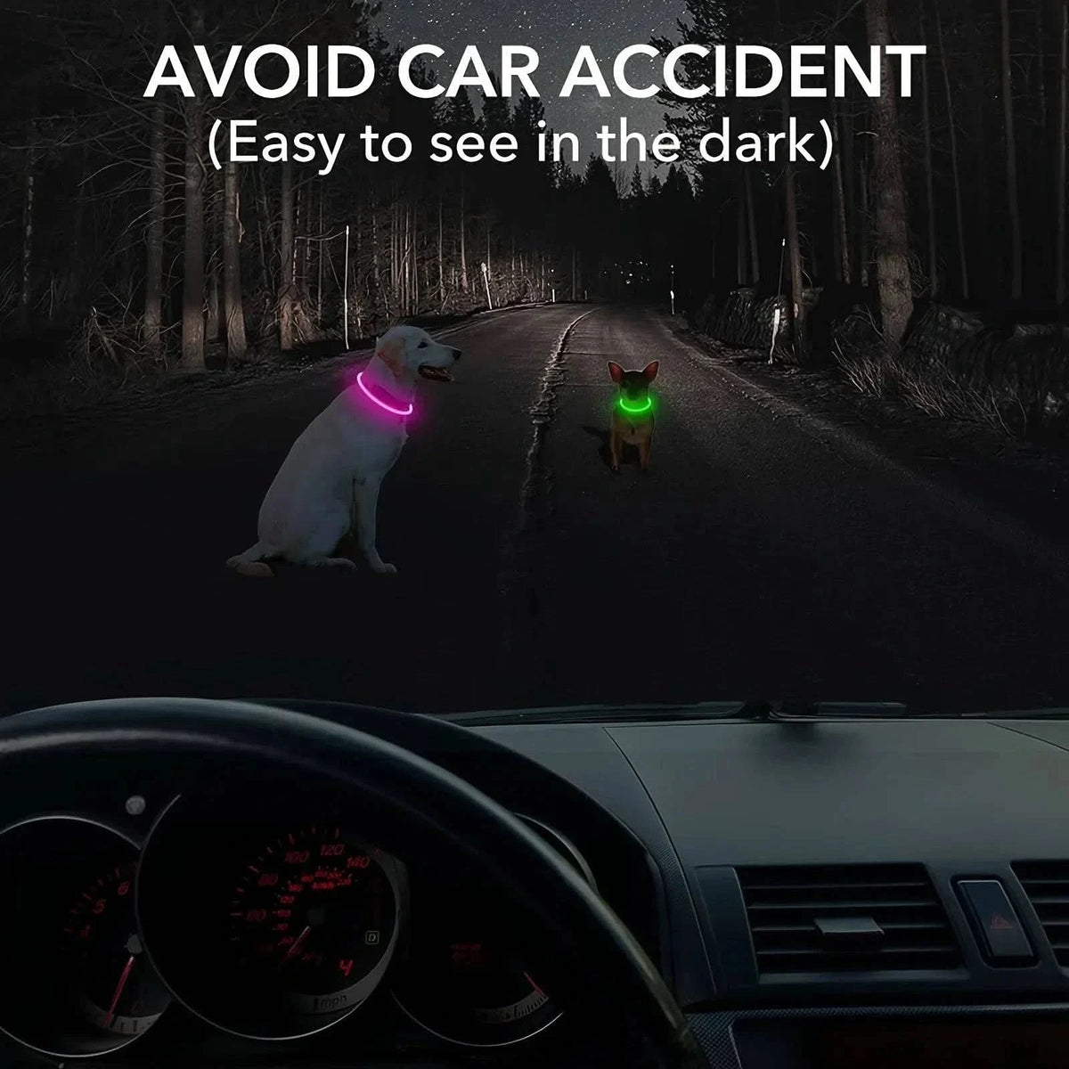 View through a windscreen of two dogs in glowing LED dog collars on a dark road.