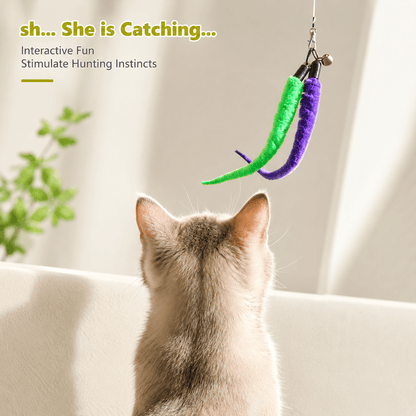 Cat watching the green and purple worm lures hanging from the retractable cat teaser wand.