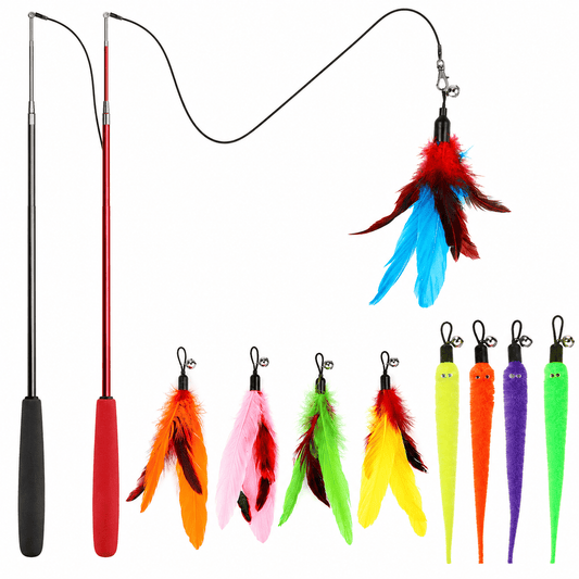 Two retractable cat teaser wands in black and red laid out with five feather refills and four worm refills.