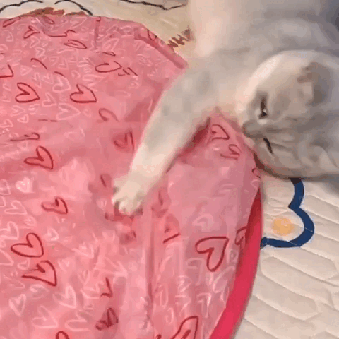 Gray cat pawing at the moving bump under the pink crinkle play mat.