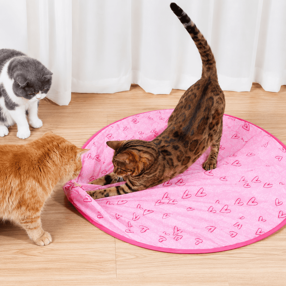 Three cats gathered around the pink play mat chasing the rolling ball on a hardwood floor.