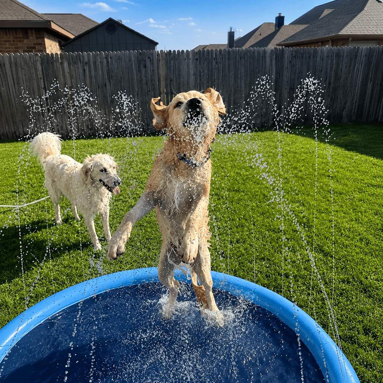 Noblias Splash Cooling Dog Splash Pad with water spray feature, designed for outdoor play and cooling pets on hot days.