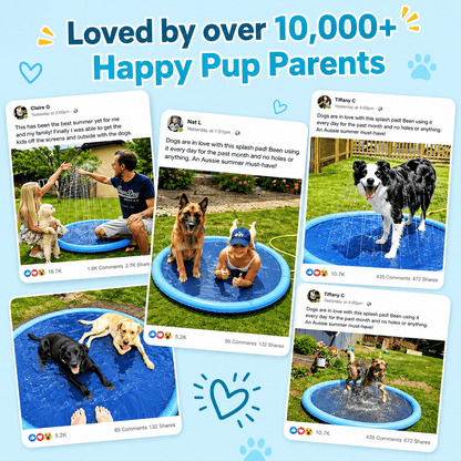 Noblias Splash Cooling Dog Splash Pad with water spray features for outdoor fun and refreshing play for dogs.