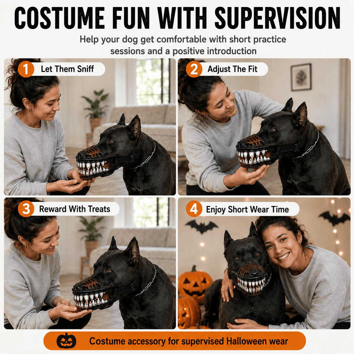 Four steps for introducing the scary dog muzzle: let them sniff it, adjust the fit, reward with treats and keep wear time short.