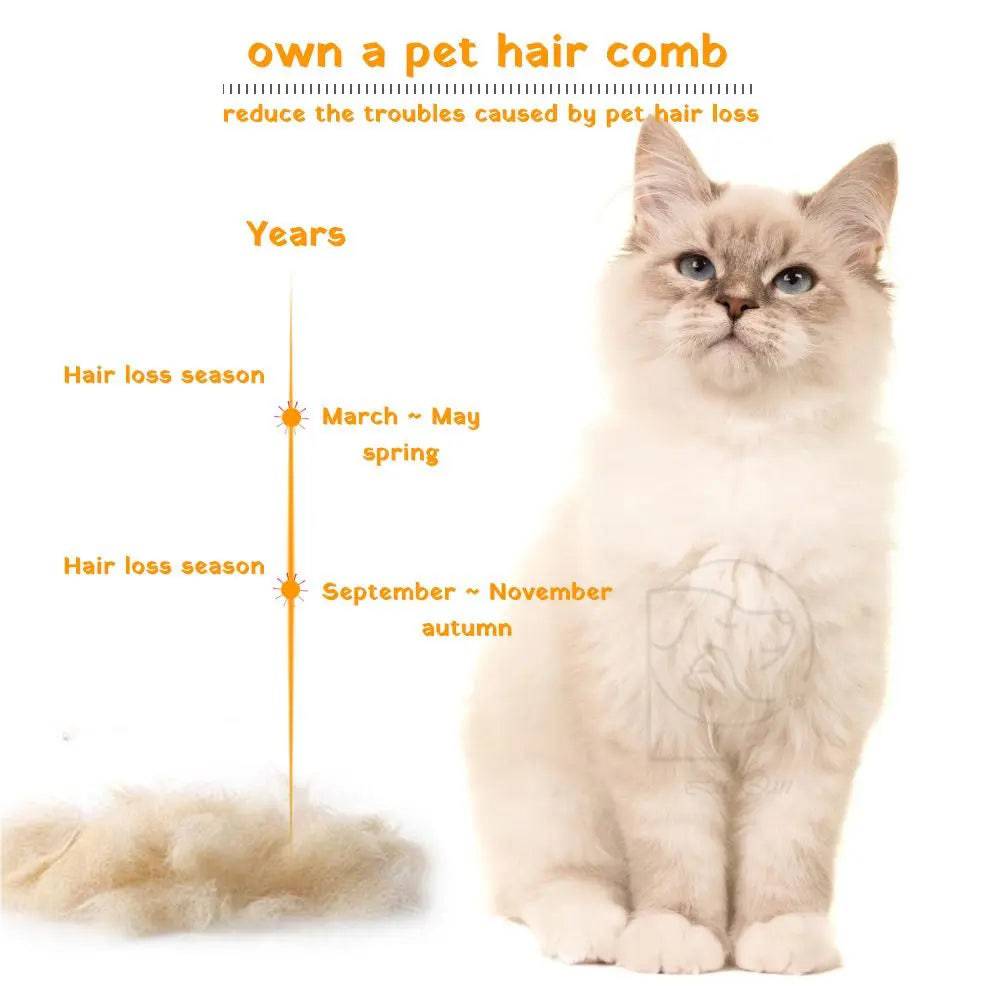 Ragdoll cat beside a pile of shed fur with the spring and autumn shedding seasons marked.