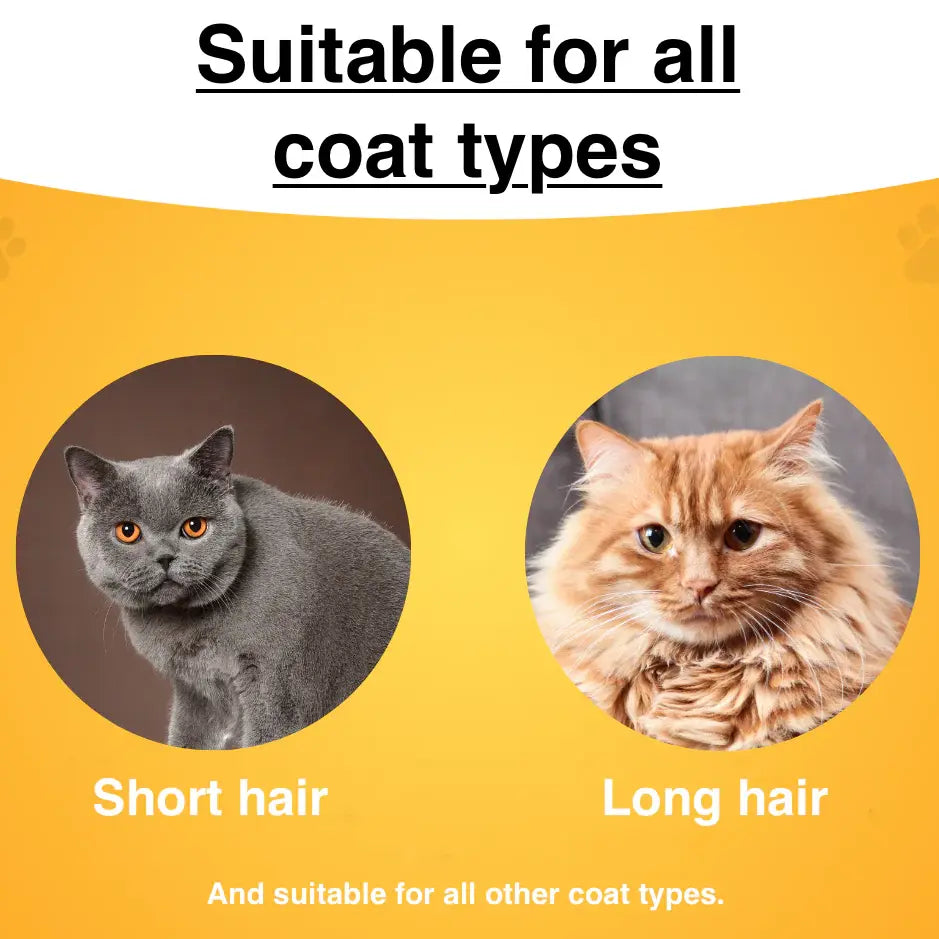 Short haired gray cat and long haired orange cat shown beside the self cleaning cat slicker brush for all coat types.