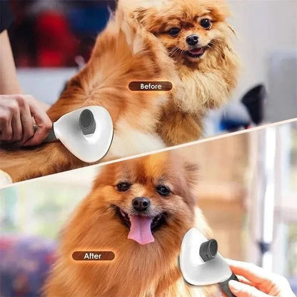 Before and after of a pomeranian brushed with the gray self cleaning slicker brush.