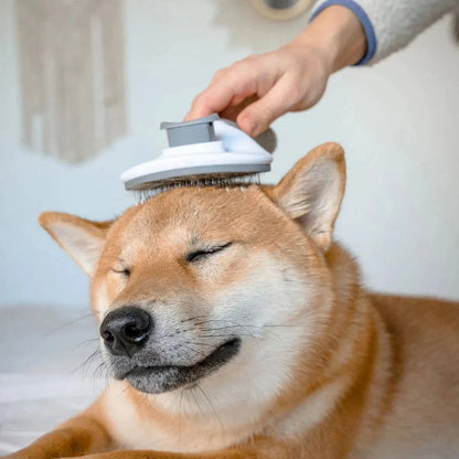 Shiba inu closing its eyes while the gray self cleaning slicker brush works over its head.