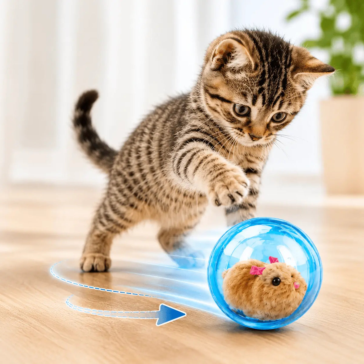 Kitten mid pounce over the blue self rolling cat ball as it rolls across a wooden floor with the plush hamster inside.