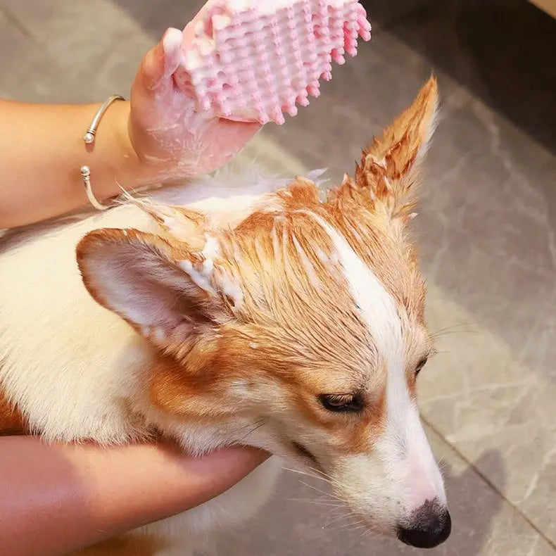 Hand wearing the pink silicone dog bath brush washing a wet corgi.