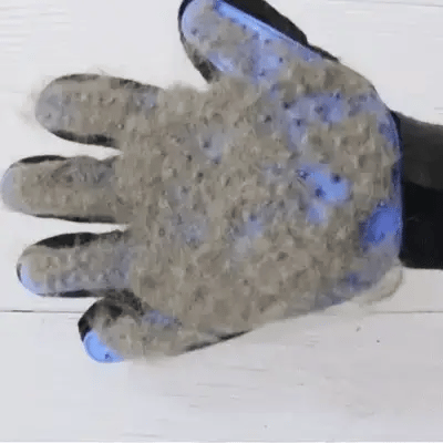 Hand peeling a clump of gray fur off the tips of the blue silicone pet grooming glove.