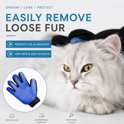 Blue silicone pet grooming glove beside a silver cat, captioned remove fur and massage, anti-bite and anti-scratch.