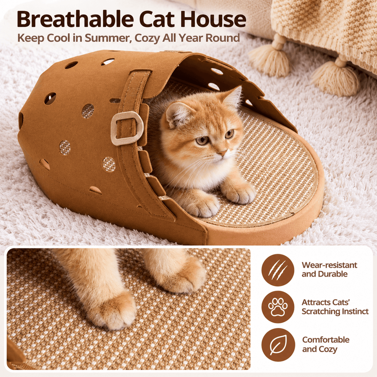 Cat sitting in the slipper felt cat cave above a close view of paws on the woven jute scratch mat.