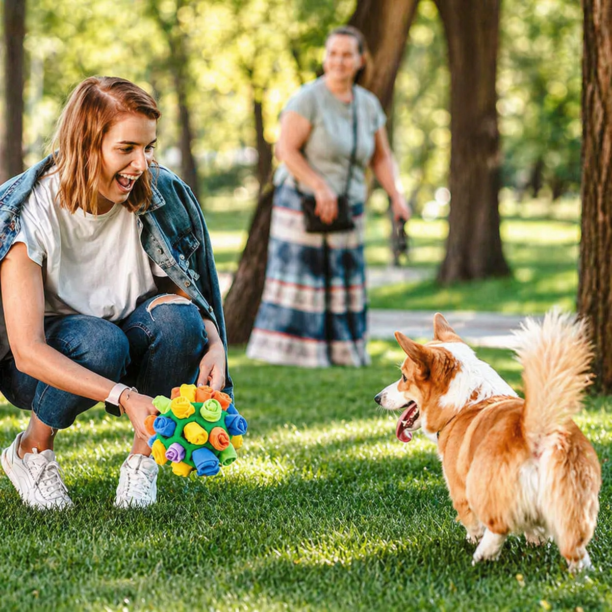 Woman and a corgi playing with the red snuffle ball for dogs in a park.
