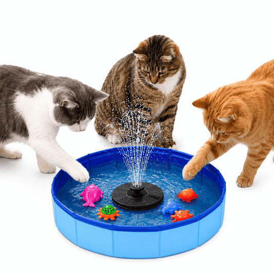 Three cats gathered around the blue foldable splash pool, pawing at the spray from the floating solar fountain