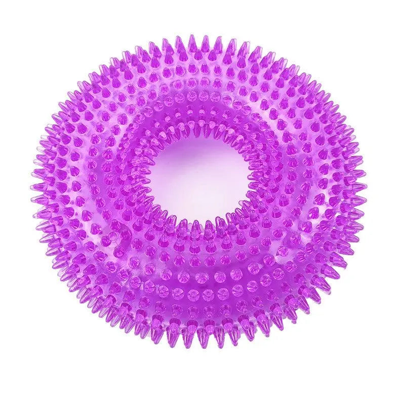 Purple spiky dog chew ring on a white background.