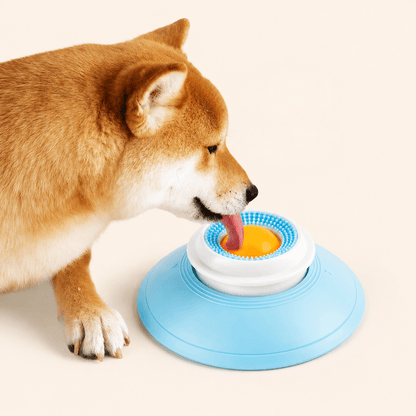 Shiba inu licking the yellow ball on the spinning treat ball dog toy.