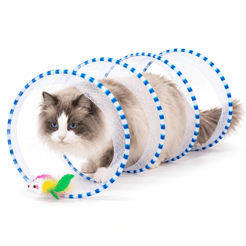 A ragdoll cat walking through the blue spiral cat tunnel with a feathered toy at the entrance.