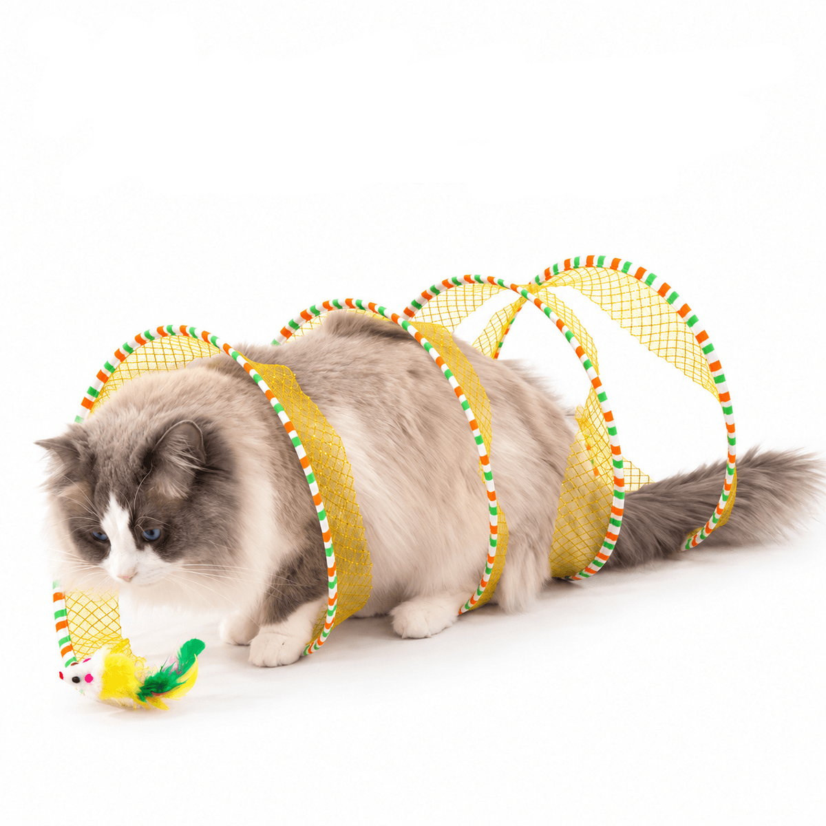 A ragdoll cat lying inside the yellow spiral cat tunnel next to its catnip bird toy.