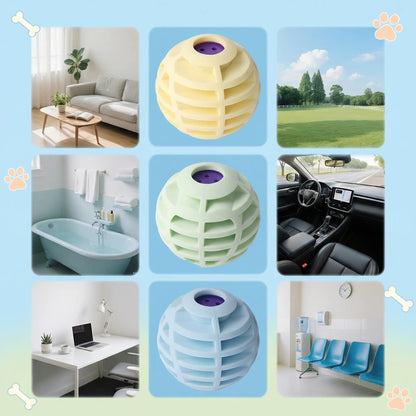 Collage of the squeaky ball toy for dogs and cats in a living room, a park, a bathroom, a car, a desk and a waiting room.