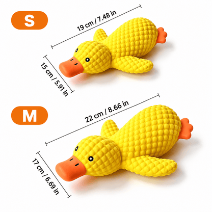 Size chart of the squeaky latex duck dog toy: small 19 x 15 cm and medium 22 x 17 cm.