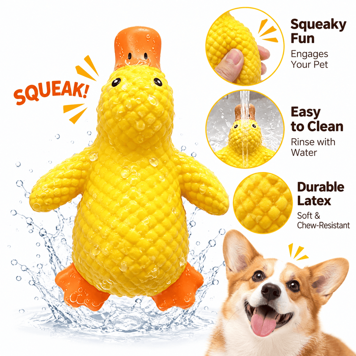 The squeaky latex duck dog toy splashed with water, with callouts for its squeaker, easy rinsing and textured latex.