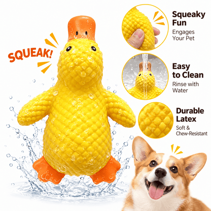 The squeaky latex duck dog toy splashed with water, with callouts for its squeaker, easy rinsing and textured latex.