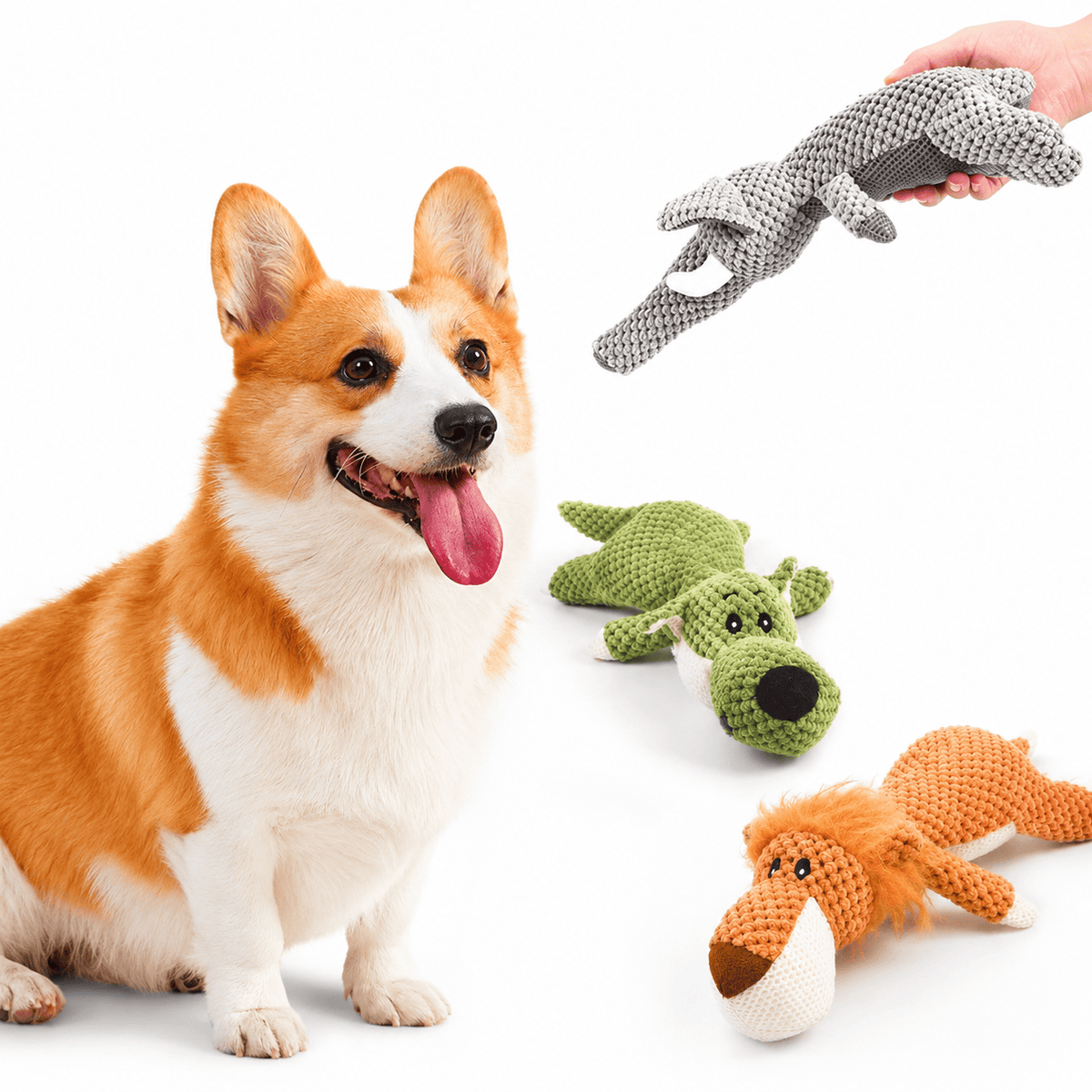 Corgi next to the green wolf and orange lion squeaky plush toys while a hand holds the gray elephant.