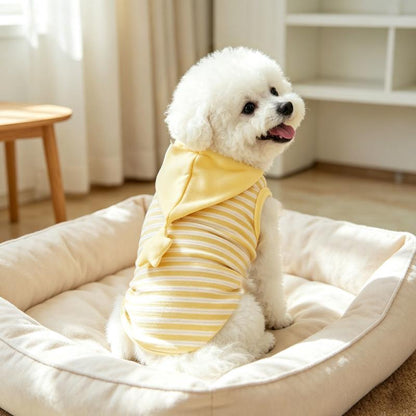 Back view of a bichon in a dog bed wearing the yellow striped dog pajamas with the star hood down.