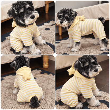 Schnauzer wearing the striped dog pajamas with star hood, shown from four angles on a rug.