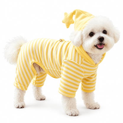White bichon wearing the yellow striped dog pajamas with a star hood, standing on a white background.