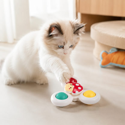 Ragdoll cat pressing a paw on the ladybug suction cup cat spinner toy stuck to the floor beside its bed