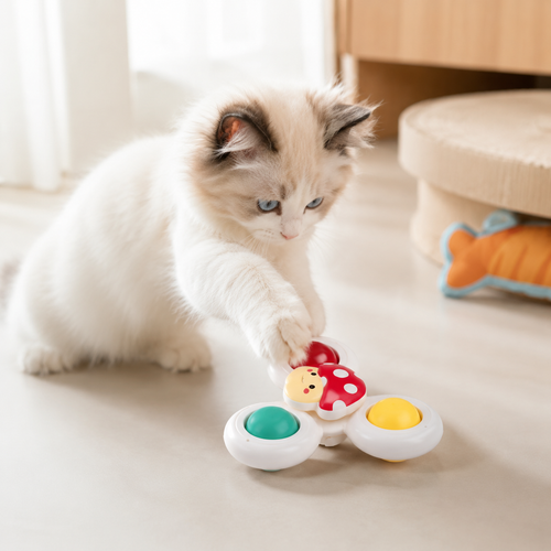 Ragdoll cat pressing a paw on the ladybug suction cup cat spinner toy stuck to the floor beside its bed