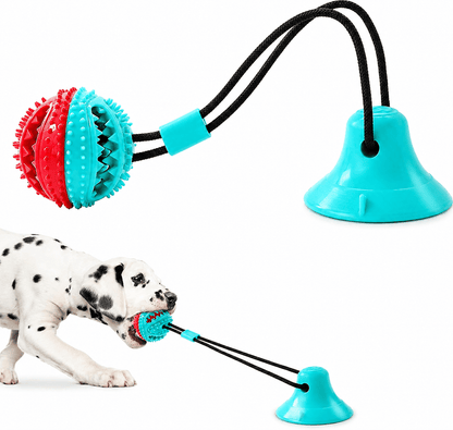 A dalmatian pulling on the red and teal Noblias suction cup dog chew toy anchored to the floor.