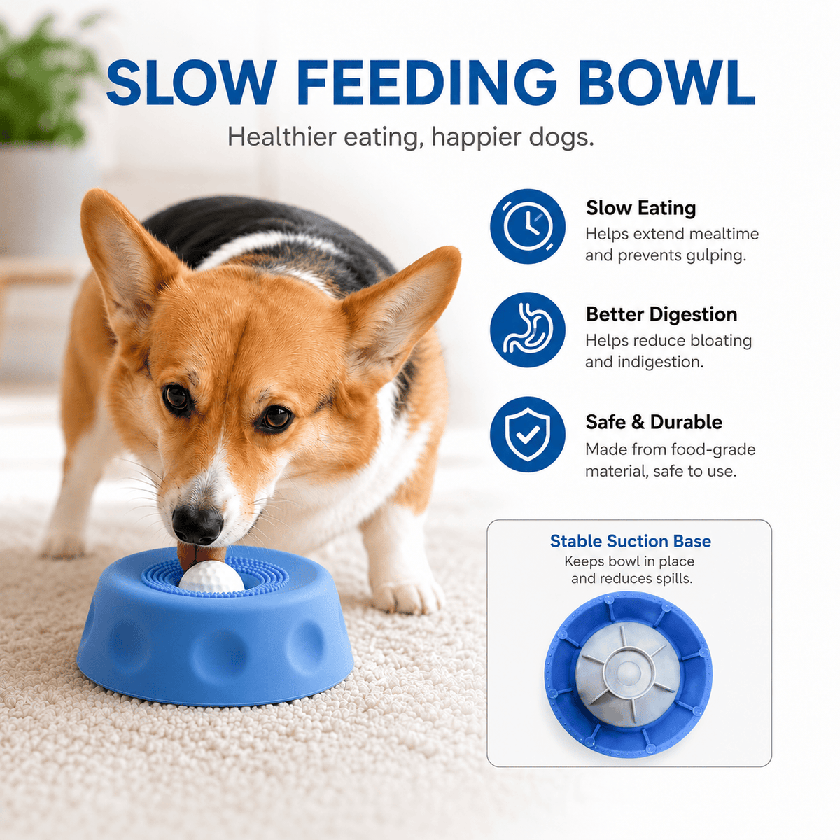 Corgi licking the blue suction dog lick bowl with rolling ball, with the suction base shown in an inset.