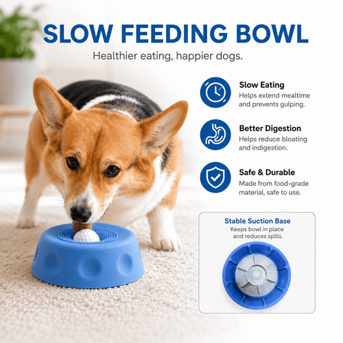 Corgi licking the blue suction dog lick bowl with rolling ball, with the suction base shown in an inset.