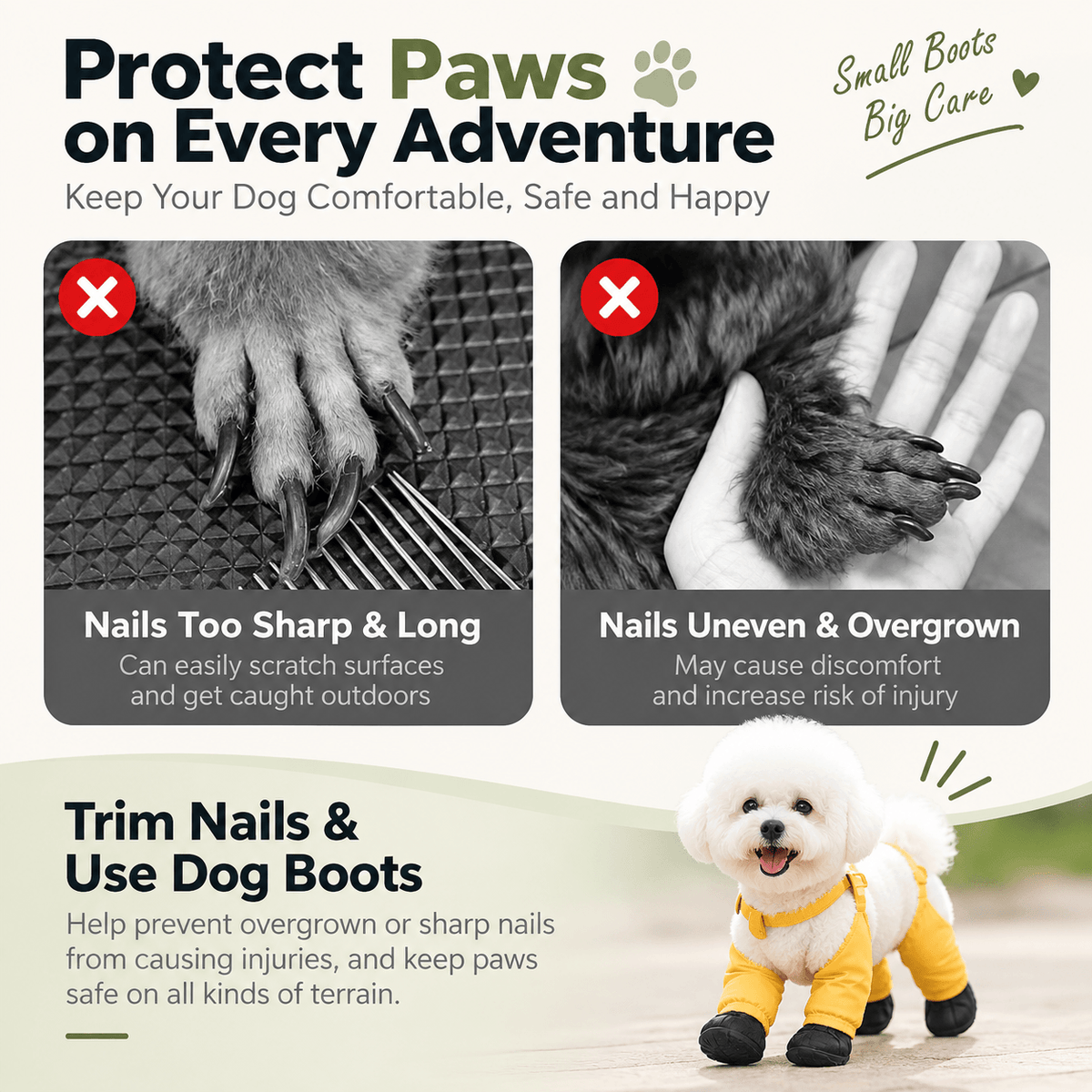 Guide explaining why to trim long or uneven nails before fitting suspender dog boots.