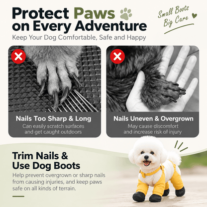 Guide explaining why to trim long or uneven nails before fitting suspender dog boots.