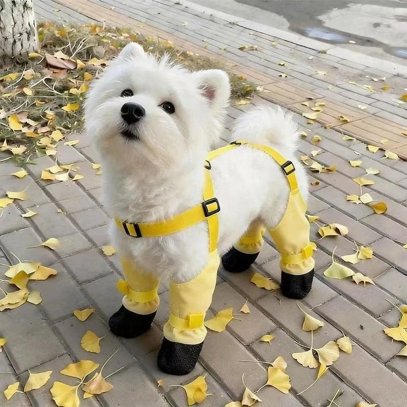 White dog standing on a leaf-covered sidewalk in yellow suspender dog boots.