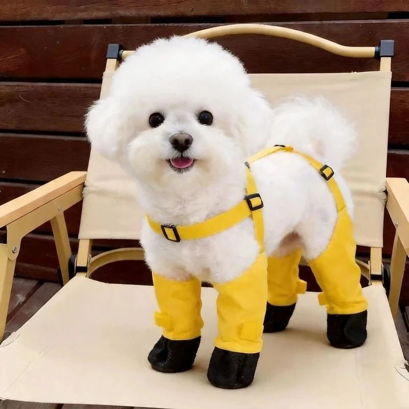 Smiling white dog standing on a camping chair wearing yellow suspender dog boots.