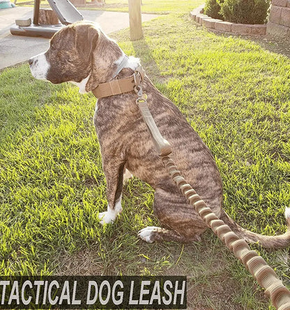 Brindle pit bull sitting on a lawn with the khaki tactical bungee dog leash clipped to its collar.