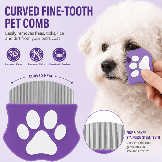 Purple paw-shaped comb being used on a Bichon's face, with callouts for the curved head and the fine dense stainless steel teeth.