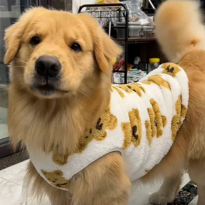 Golden retriever wearing the white teddy bear fleece dog vest with brown bears.
