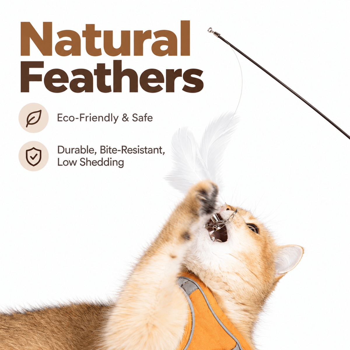 A ginger cat leaping to bite the natural feather lure of the telescopic feather cat wand.