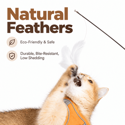 A ginger cat leaping to bite the natural feather lure of the telescopic feather cat wand.
