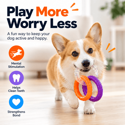 A corgi trots across a wood floor carrying the three linked rings in its mouth.