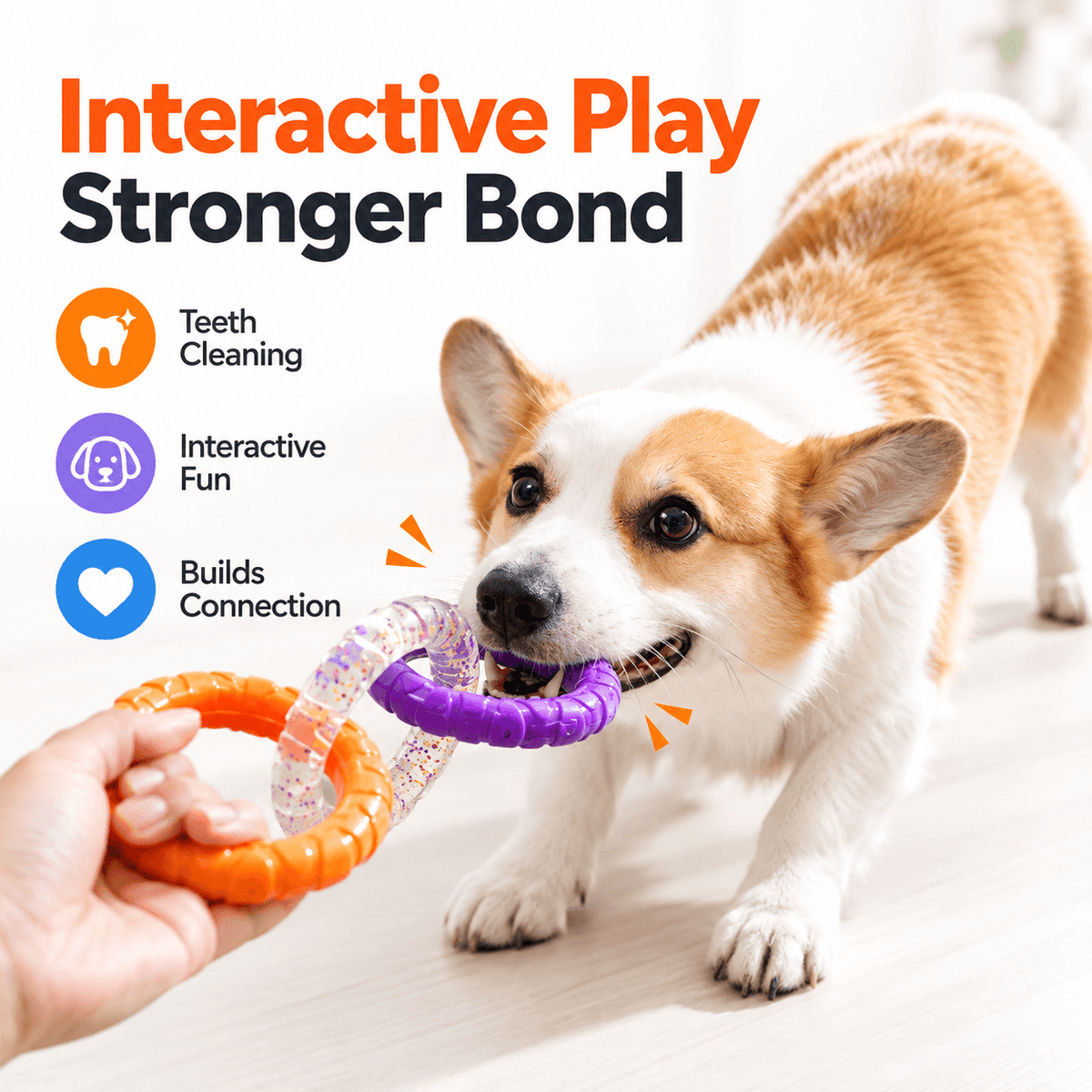A corgi tugs on the rings against a hand, beside icons for teeth cleaning, play and connection.