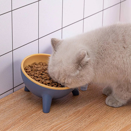 Gray cat eating kibble from the yellow tilted elevated cat bowl beside a tiled wall.