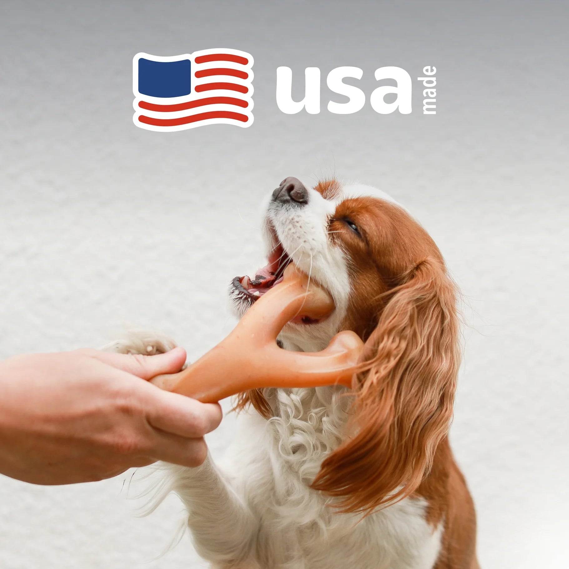 Dog playing with a toy held by a person, with 'USA Made' text and American flag in the background.